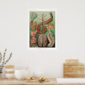  illustratie van het mariene leven poster (Keuken)