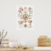  illustratie van het mariene leven poster (Keuken)