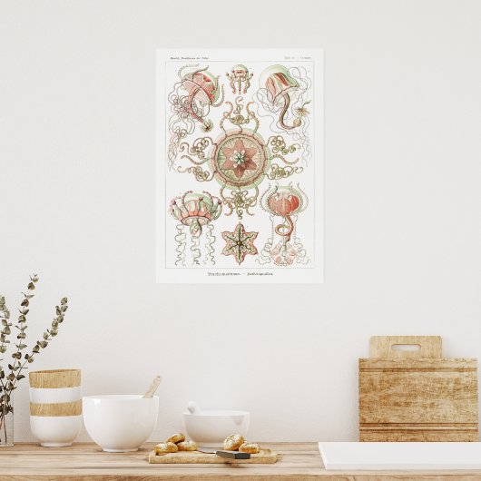  illustratie van het mariene leven poster (Keuken)