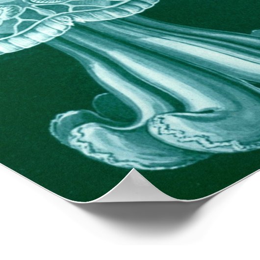  illustratie van het mariene leven poster (Hoek)