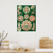  illustratie van het mariene leven poster (Keuken)