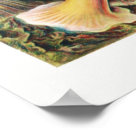 illustratie van het mariene leven poster (Hoek)