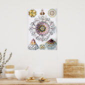  illustratie van het mariene leven poster (Keuken)