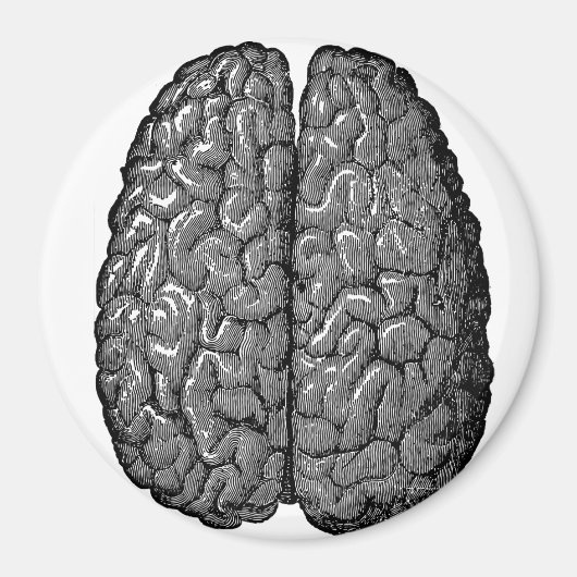  illustratie van het menselijk brein magneet (Voorkant)
