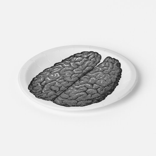  illustratie van het menselijk brein papieren bordje (Gekanteld)