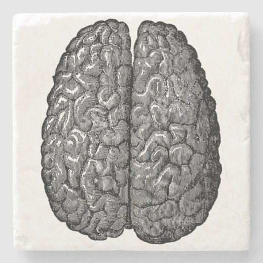  illustratie van het menselijk brein stenen onderzetter (Voorkant)