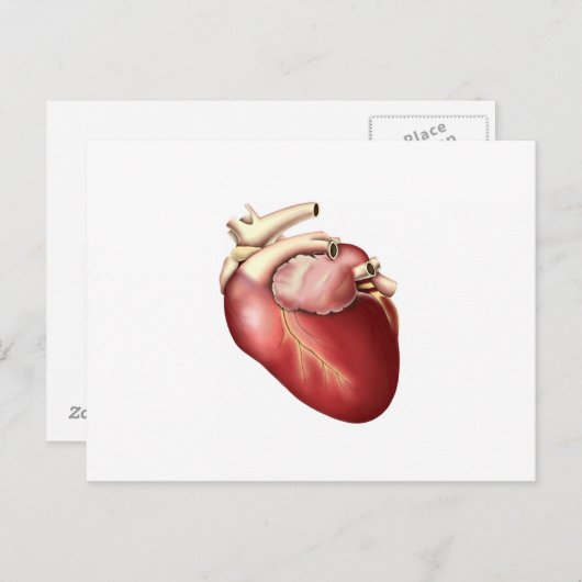 Illustratie van het menselijk hart briefkaart (Voorkant / Achterkant)