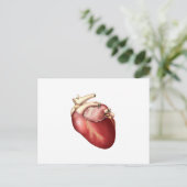 Illustratie van het menselijk hart briefkaart (Staand voorkant)