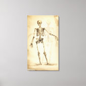  illustratie van het menselijk skelet canvas afdruk (Voorkant)