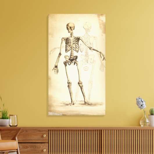  illustratie van het menselijk skelet canvas afdruk (Insitu (Woonkamer))