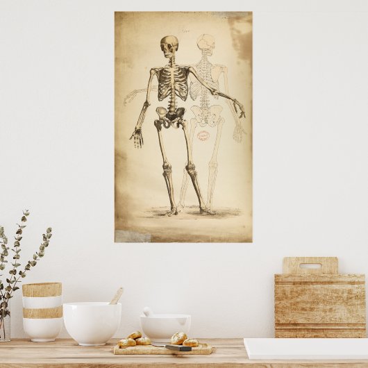  illustratie van het menselijk skelet poster (Keuken)