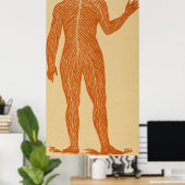 Illustratie van het  menselijk zenuwstelsel (1887) poster (Thuiskantoor)