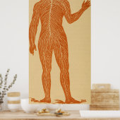 Illustratie van het  menselijk zenuwstelsel (1887) poster (Keuken)