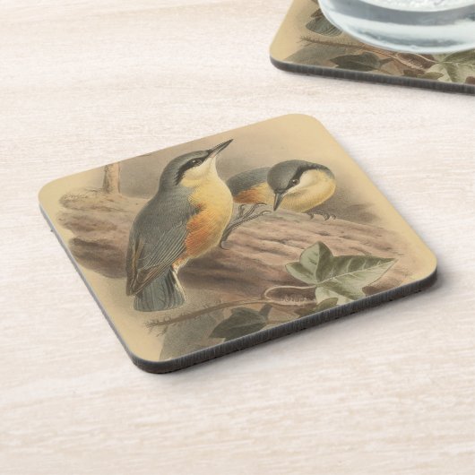  illustratie van het Nuthatch Square Bier Onderzetter (Linkerzijde)