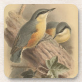  illustratie van het Nuthatch Square Bier Onderzetter (Voorkant)
