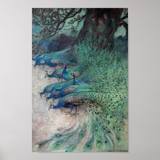 illustratie van het Peacock-boek Poster (Voorkant)