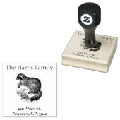  Illustratie van het Raccoon Gepersonaliseerd Rubberstempel (Gestempeld)