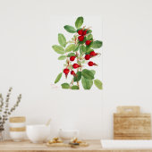  illustratie van het rozingschip poster (Keuken)