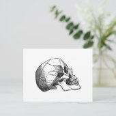 illustratie van het schedelprofiel briefkaart (Staand voorkant)