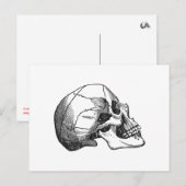 illustratie van het schedelprofiel briefkaart (Voorkant / Achterkant)