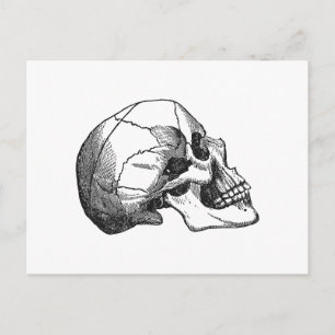 illustratie van het schedelprofiel briefkaart