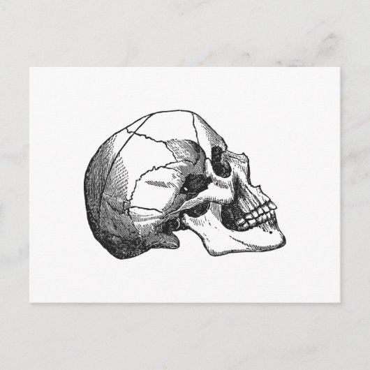illustratie van het schedelprofiel briefkaart (Voorkant)