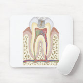 Illustratie van het Tooth Decay Muismat (Met muis)