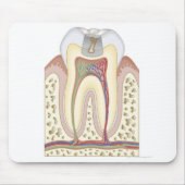 Illustratie van het Tooth Decay Muismat (Voorkant)