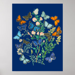  illustratie van het wild - vlindertuin poster