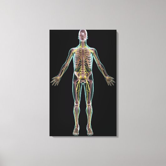 Illustratie van het zenuwstelsel canvas afdruk (Voorkant)