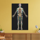 Illustratie van het zenuwstelsel canvas afdruk (Insitu (Woonkamer))