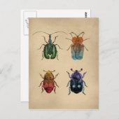  illustratie van hoeken briefkaart (Voorkant / Achterkant)