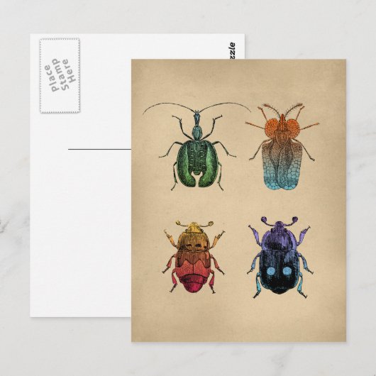  illustratie van hoeken briefkaart (Voorkant / Achterkant)