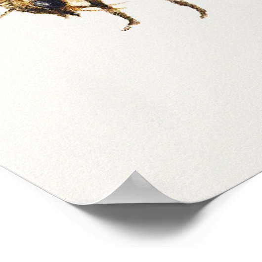 Illustratie van honingbijen poster (Hoek)