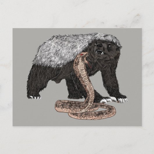 Illustratie van honingdas versus slang briefkaart (Voorkant)
