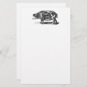  illustratie van huishog - 1800's Varkens Briefpapier (Voorkant / Achterkant)