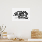 illustratie van huishog - 1800's Varkens Poster (Keuken)
