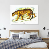  illustratie van jaguar Animal Canvas Afdruk (Insitu (Slaapkamer))
