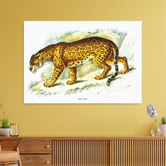  illustratie van jaguar Animal Canvas Afdruk (Insitu (Woonkamer))