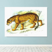  illustratie van jaguar Animal Canvas Afdruk (Insitu (Houten vloer))