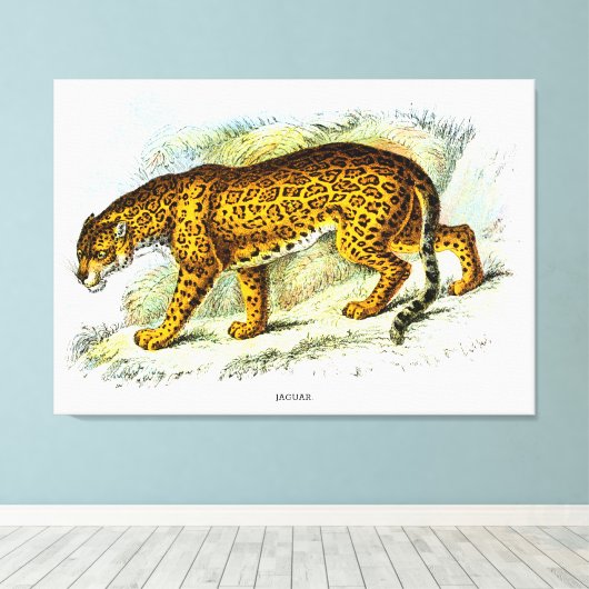  illustratie van jaguar Animal Canvas Afdruk (Insitu (Houten vloer))