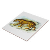  illustratie van jaguar Animal Tegeltje (Zijkant)