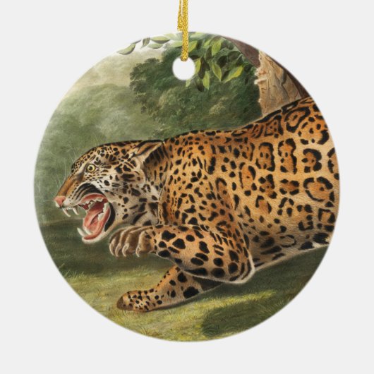 Illustratie van Jaguar (Felis onca) Keramisch Ornament (Achterkant)
