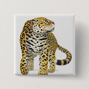 Illustratie van Jaguar met kop in profiel Vierkante Button 5,1 Cm
