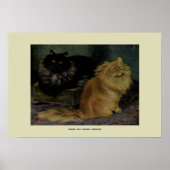  illustratie van katten poster (Voorkant)