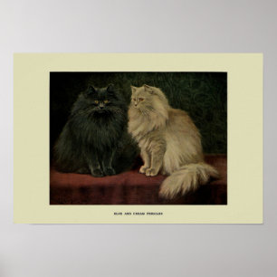  illustratie van katten poster