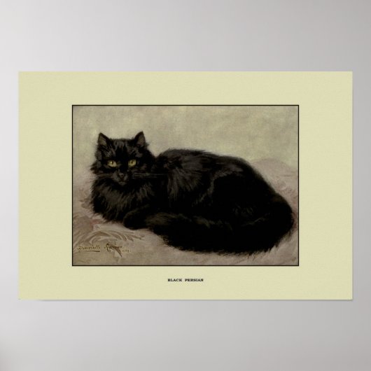  illustratie van katten poster (Voorkant)
