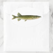 Illustratie van kettingpikel ovale sticker (Tas)