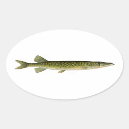 Illustratie van kettingpikel ovale sticker