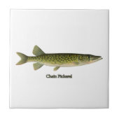 Illustratie van kettingvinder tegeltje (Voorkant)